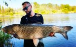 Competition Z Boilies tare  20mm 10kg - Image 4